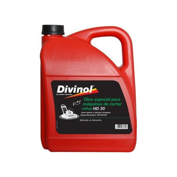 ÓLEO P/MOTORES A 4T - 5L DIVINOL