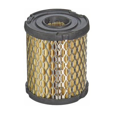 FILTRO AR TECUMSEH...