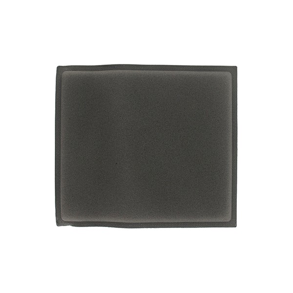 PRE FILTRO AR B&S REFERENCIA 1001005003