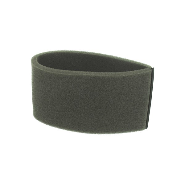 PRE FILTRO AR B&S REFERENCIA 1001005012