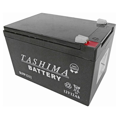 BATERIA TASHIMA SLA12-12...