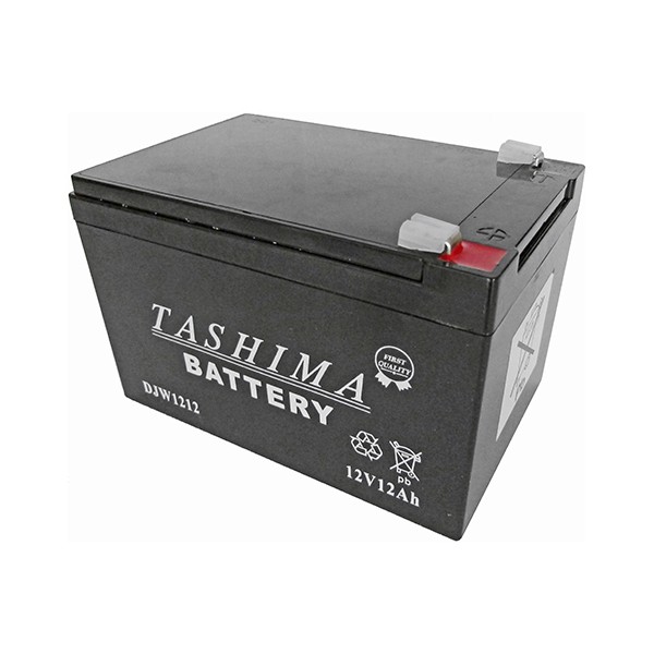 BATERIA TASHIMA SLA12-12 12V-12AH (150x95x95mm)
