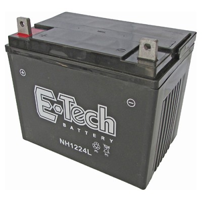 BATERIA TASHIMA SLA12-24...