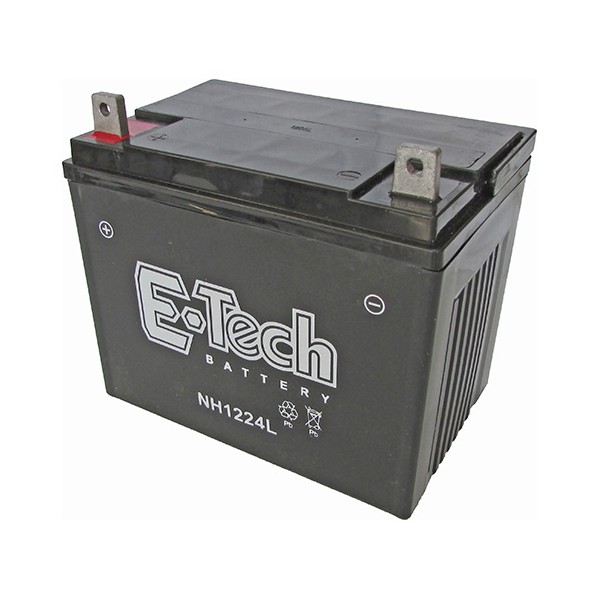 BATERIA TASHIMA SLA12-24 12V-24AH (195x130x180mm)