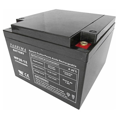 BATERIA TASHIMA SLA12-26...