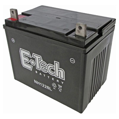 BATERIA TASHIMA SLA12-28...