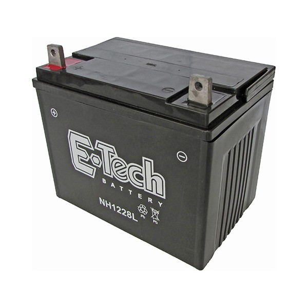 BATERIA TASHIMA SLA12-28 12V-28AH (195x130x180mm)