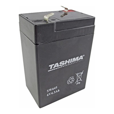BATERIA TASHIMA SLA6-4...