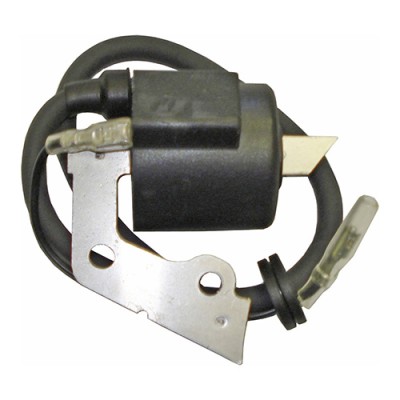 BOBINE ELETRONICA ROBIN...