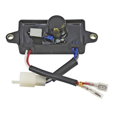 REGULADOR VOLTAGEM (AVR)...