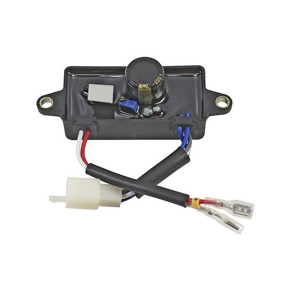 REGULADOR VOLTAGEM (AVR) MONOFASICO 2500W (250V)