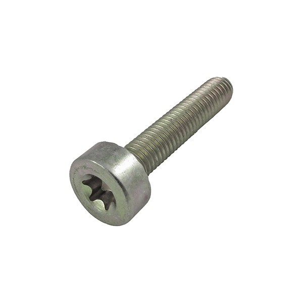 PARAFUSO TAMPAS (DIVERSOS) STIHL (TORX: M5x25mm)