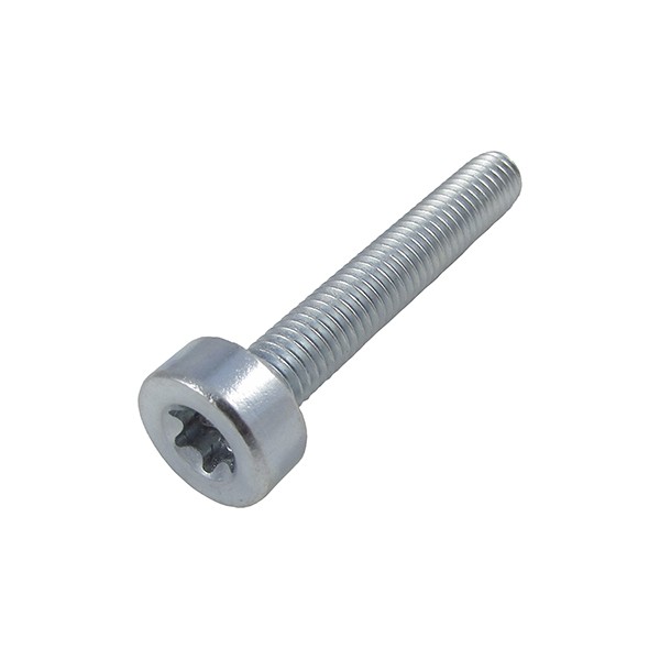 PARAFUSO TAMPAS (DIVERSOS) STIHL (TORX: M5x30mm)
