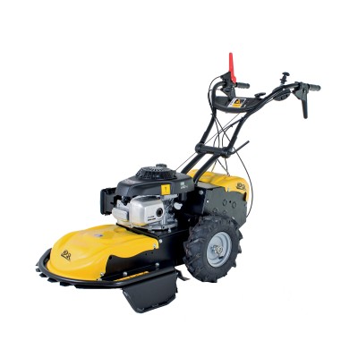 CORTA-MATO ROQUES ET...