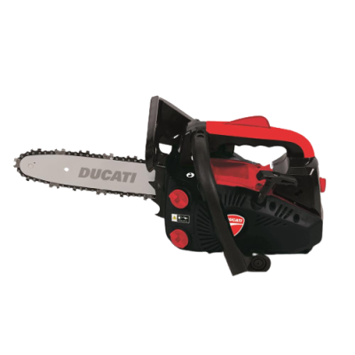 MOTOSSERRA DUCATI DCS 2500T...